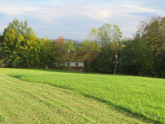 Wiese oberhalb dem Haus 