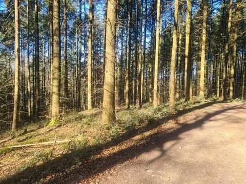Angelsberg Grundstücke, Angelsberg Grundstück kaufen