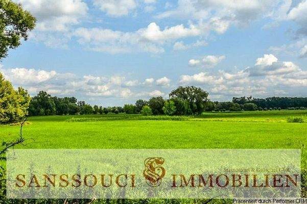 Weitblick über die Oderauen