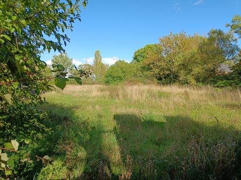 Wiedemar Grundstücke, Wiedemar Grundstück kaufen