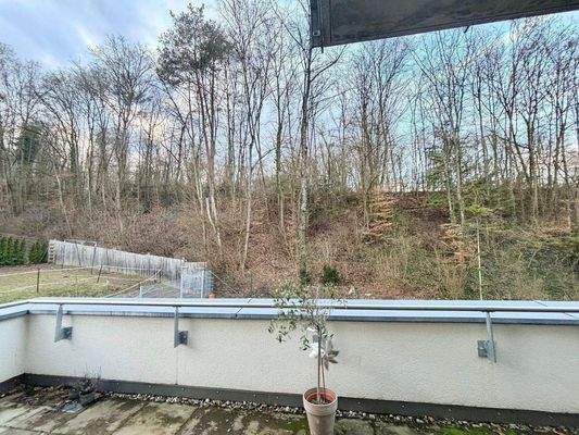 Blick ins Grüne - Balkon WZ - OG1
