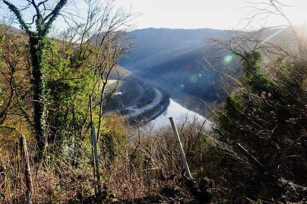 416580379_766532722082602_7874075567675185356_n.jp