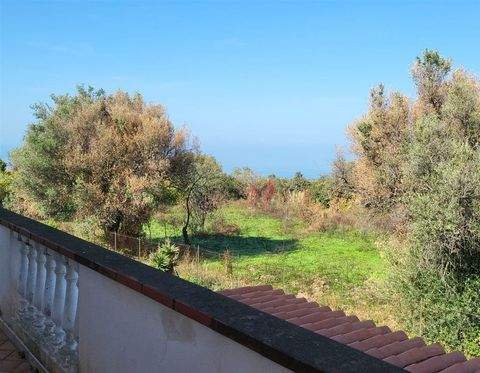 Ricadi Häuser, Ricadi Haus kaufen