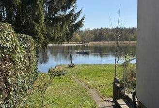 Rheinzugang und beste Sicht auf das Wasser und Naturschutzgebiet Schaarenwis und Schaarenwald