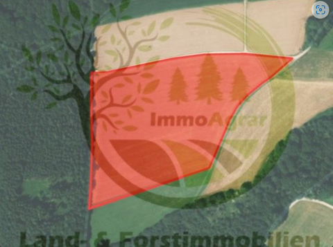 Stetten Bauernhöfe, Landwirtschaft, Stetten Forstwirtschaft
