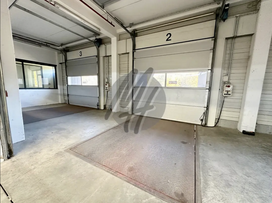 INFOS UNTER: 06171-586000