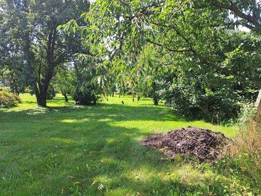 Ansicht Grundstück.jpg