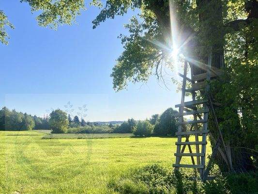 heimische Landschaft