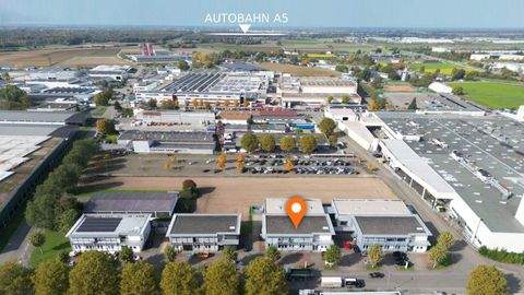 Lahr Halle, Lahr Hallenfläche