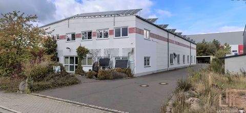 Weiden in der Oberpfalz Halle, Weiden in der Oberpfalz Hallenfläche