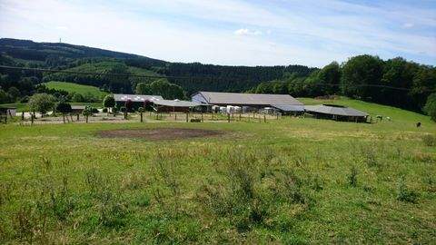 Gummersbach Bauernhöfe, Landwirtschaft, Gummersbach Forstwirtschaft