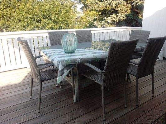 DG-Blick auf Mirabellenbaum