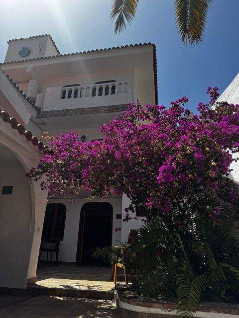 Maspalomas Gastronomie, Pacht, Gaststätten