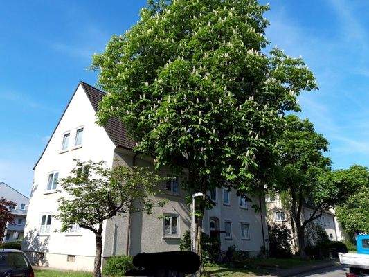 Am Urnenfeld 11 Strassenseite