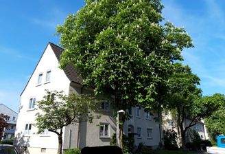 Am Urnenfeld 11 Strassenseite