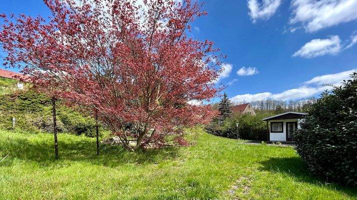 Seitlicher Blick auf das Grundstück