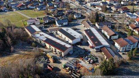 Pfronten Halle, Pfronten Hallenfläche