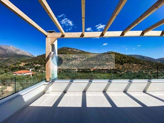 a9794f4a483c43849dad78937b7eb53f-original