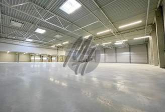 INFOS UNTER: 06171-586000