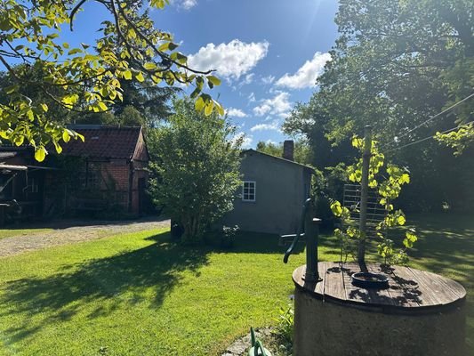 6-Garten.jpg