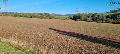 Lubenec Bauernhöfe, Landwirtschaft, Lubenec Forstwirtschaft