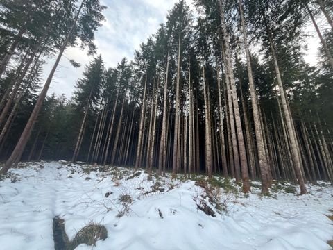 Lengenwang Bauernhöfe, Landwirtschaft, Lengenwang Forstwirtschaft