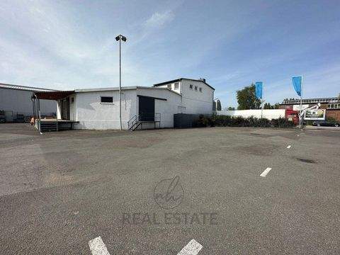 Hamburg Halle, Hamburg Hallenfläche