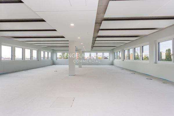 Blick in die Fläche 