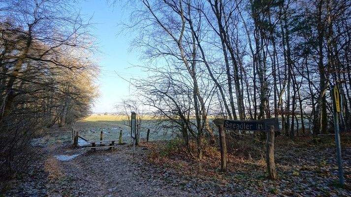 Weg zur Seeadler-Aussichtskanzel