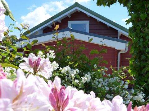 Neuhaus Häuser, Neuhaus Haus kaufen