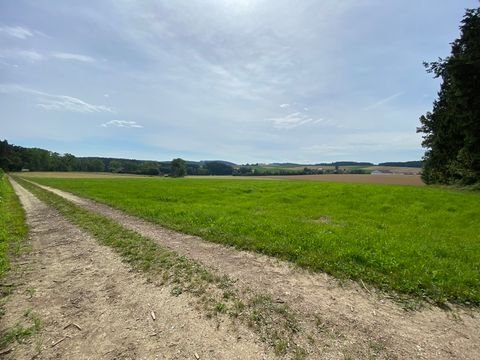 Frontenhausen / Rampoldstetten Bauernhöfe, Landwirtschaft, Frontenhausen / Rampoldstetten Forstwirtschaft