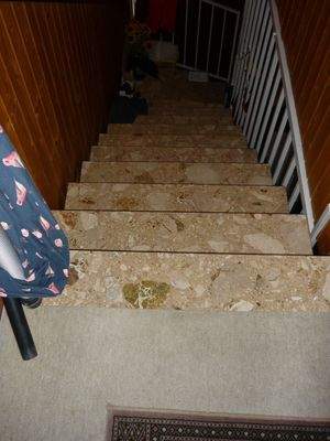 Auredder Treppe.jpg