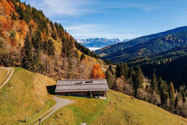 20251031-DJI_20251031103509_0197_D-SJ Photography (Selina Jakob)