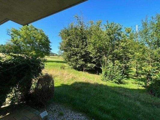 .. Blick ins Grüne !