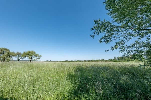 Aussicht hinterm Haus