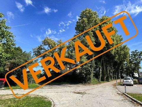 Nettingsdorf Wohnungen, Nettingsdorf Wohnung kaufen