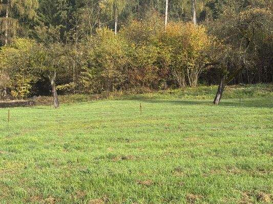 Baugrundfläche ist eingezäunt