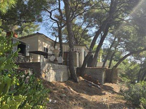 Solta Häuser, Solta Haus kaufen