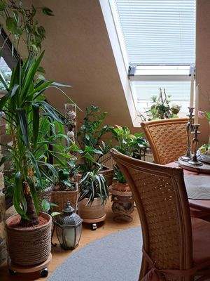 Essbereich_Seite Loggia