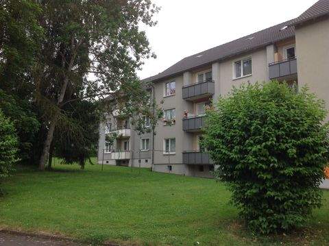 Borken (Hessen) Wohnungen, Borken (Hessen) Wohnung mieten