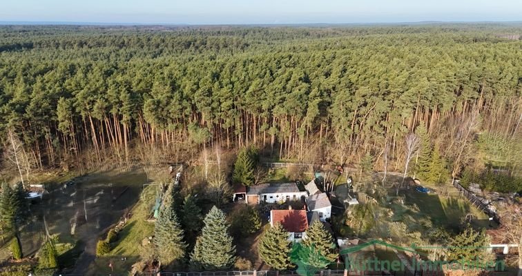 Blick über das Grundstück mit Waldanteil