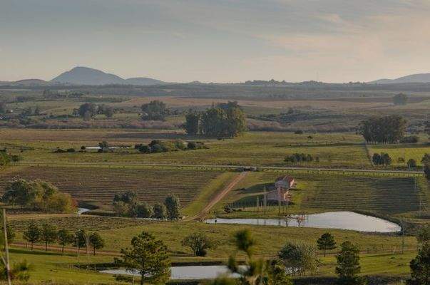 Eine Aussicht welche einzigartig ist