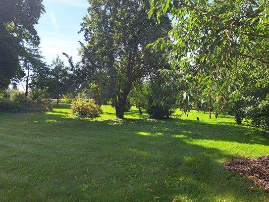  Ansicht Grundstück (1).jpg