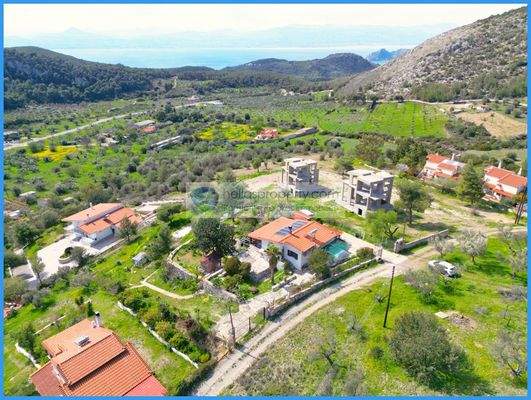 d1da089e54b349f6b9851b8983358d05-original