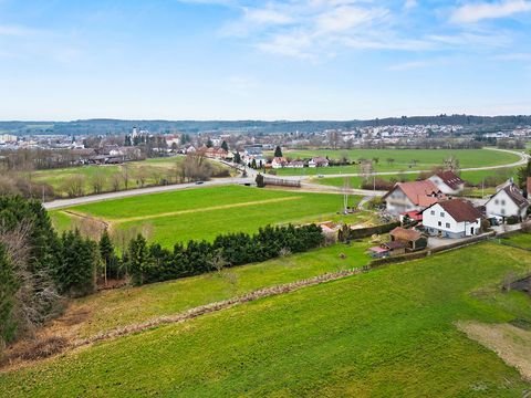 Bad Schussenried Häuser, Bad Schussenried Haus kaufen