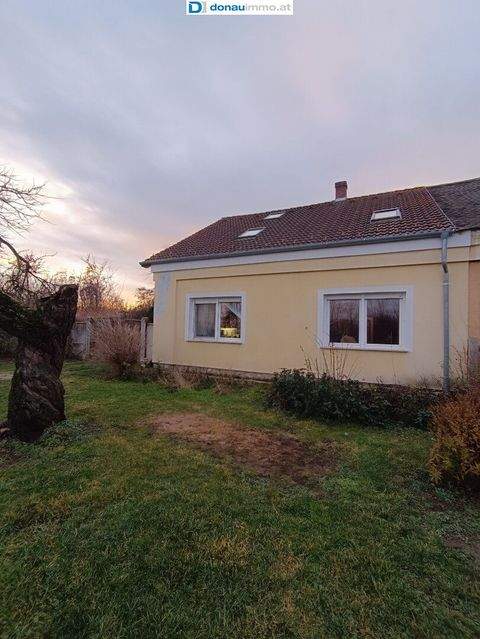 Szakony Häuser, Szakony Haus kaufen