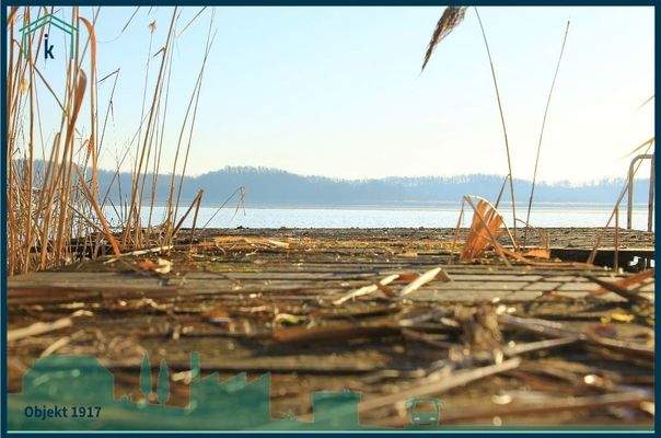 1917 Steganlage wartet auf neuen Besitzer.jpg