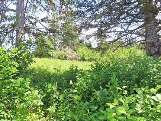 Cape Breton - Soldiers Cove - 13,6 Hektar-Areal mi