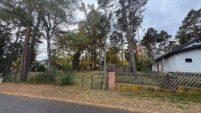 Einfahrt zum Grundstück.jpg