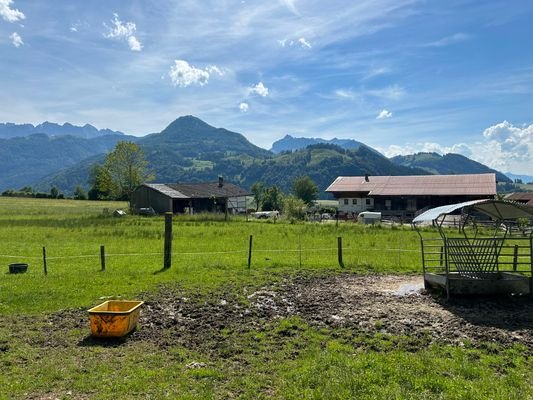 IMG_1790